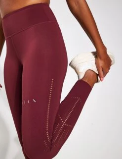 Born Saril Legging - Bordeaux 8 Born Saril Legging - Bordeaux -Sportswear Store BORN Saril Perf Legging O22CS41 L B Bordeaux 0004 647e0825 34d3 457d 8a28 f0a0c43a7d67